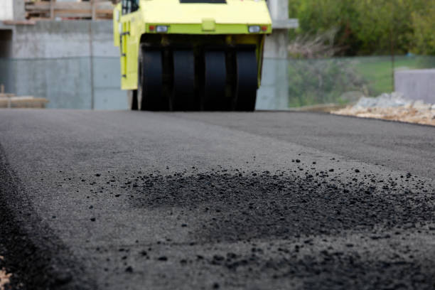 Best Driveway Pavers Contractor  in Lakewood Park, FL