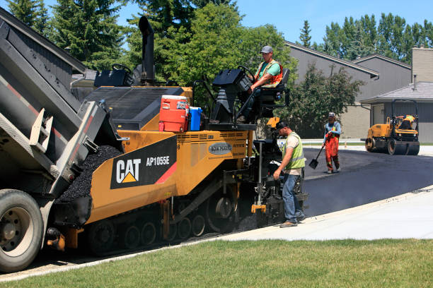 Best Custom Driveway Pavers  in Lakewood Park, FL
